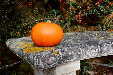 Image showing Bright orange gourd on a stone bench