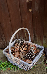 Image showing Fir cones in a basket by a wooden door