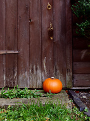 Image showing Ripe pumpkin in front of a wooden door