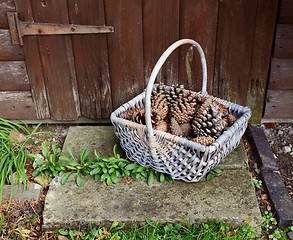 Image showing Basket of fir cones on a stone step