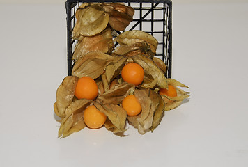 Image showing Physalis in a basket