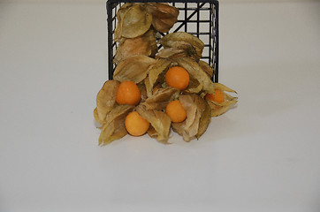 Image showing Physalis in a basket