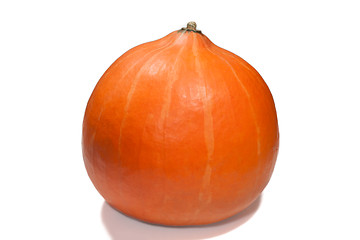 Image showing Isolated pumpkin on white