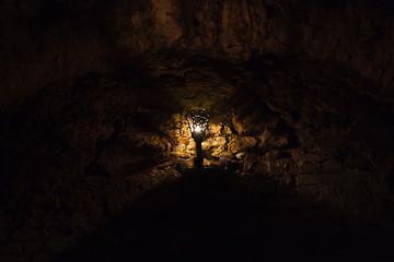 Image showing torch on the wall of an old castle