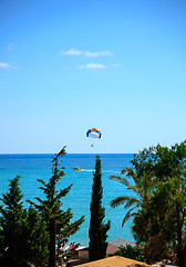 Image showing A summer sport - parasailing and boat