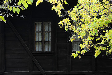 Image showing Yellow Leaves and Wooden House