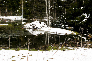 Image showing forest and field  winter landscape