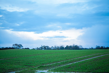 Image showing beautiful landscape of green farmland and blue sky