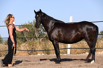 Image showing young woman training horse outside in summer