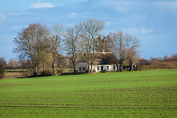 Image showing beautiful landscape of green farmland and blue sky