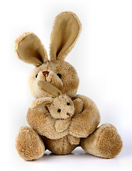 Image showing Bunny rabbit cuddly toy