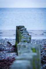 Image showing baltic sea background evening wooden wave breaker beach