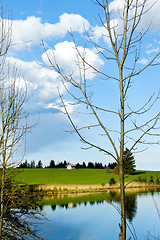 Image showing beutiful landscape in spring lake and forest 