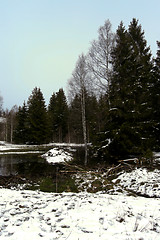 Image showing forest and field  winter landscape