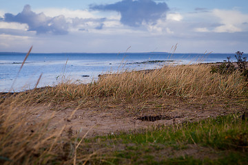 Image showing beautiful landscape in autum baltic see green field blue sky