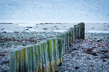 Image showing baltic sea background evening wooden wave breaker beach