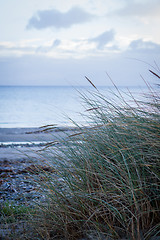 Image showing beautiful landscape dunes baltic sea in autumn winter