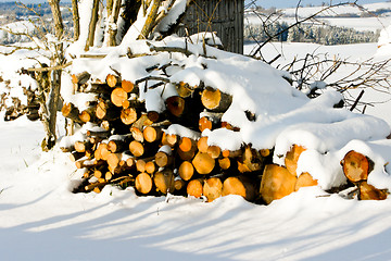 Image showing forest and field  winter landscape