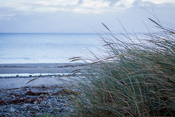 Image showing beautiful landscape dunes baltic sea in autumn winter