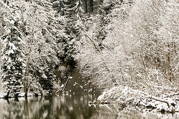 Image showing forest and field  winter landscape