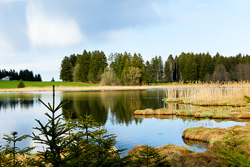 Image showing beutiful landscape in spring lake and forest 