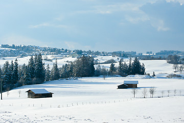 Image showing forest and field  winter landscape