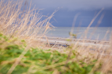 Image showing beautiful landscape dunes baltic sea in autumn winter