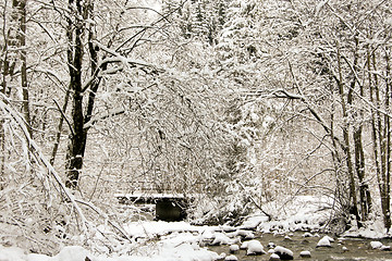 Image showing forest and field  winter landscape