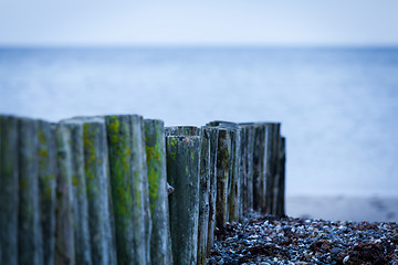 Image showing baltic sea background evening wooden wave breaker beach