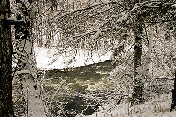 Image showing forest and field  winter landscape