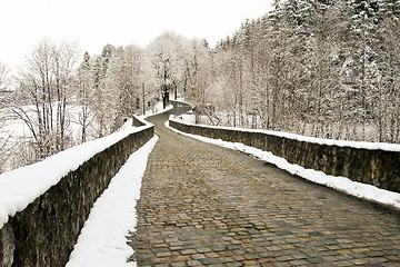 Image showing forest and field  winter landscape