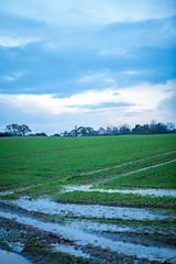 Image showing beautiful landscape of green farmland and blue sky