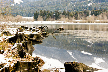 Image showing forest and field  winter landscape