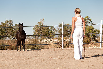 Image showing young woman training horse outside in summer