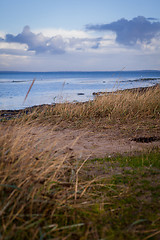 Image showing beautiful landscape in autum baltic see green field blue sky