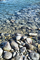 Image showing Bank of Katun river