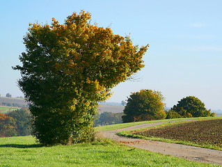 Image showing rural autumn scenery