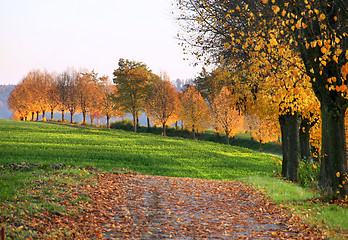 Image showing autumn scenery