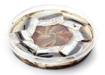 Image showing salted anchovies in plastic container