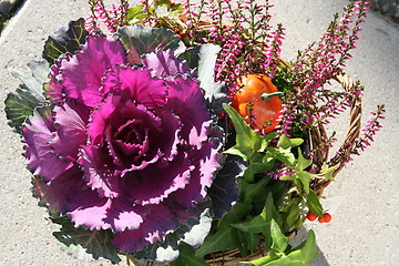 Image showing Basket with autumn decoration