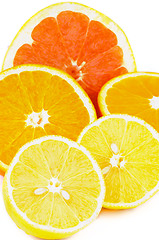 Image showing Citrus Halves