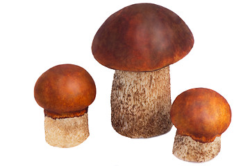 Image showing Three beautiful mushroom ???????????? on a white bac