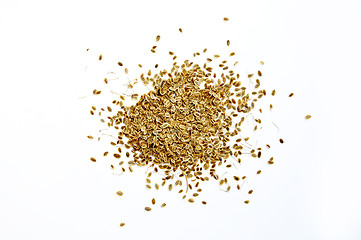 Image showing handful of seeds of fennel on a white background. the isolated
