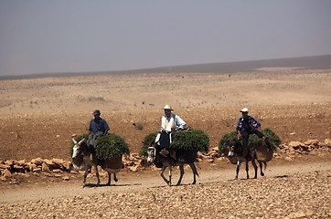 Image showing men riding donkeys