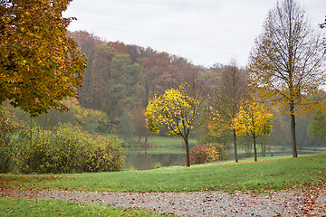 Image showing autumn scenery