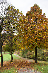 Image showing autumn scenery