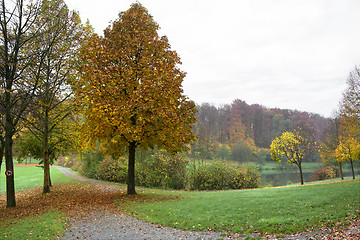 Image showing autumn scenery