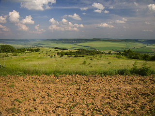 Image showing Plowed Field