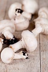 Image showing  fresh champignons