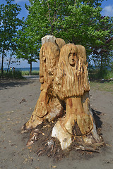 Image showing Carved tree part.